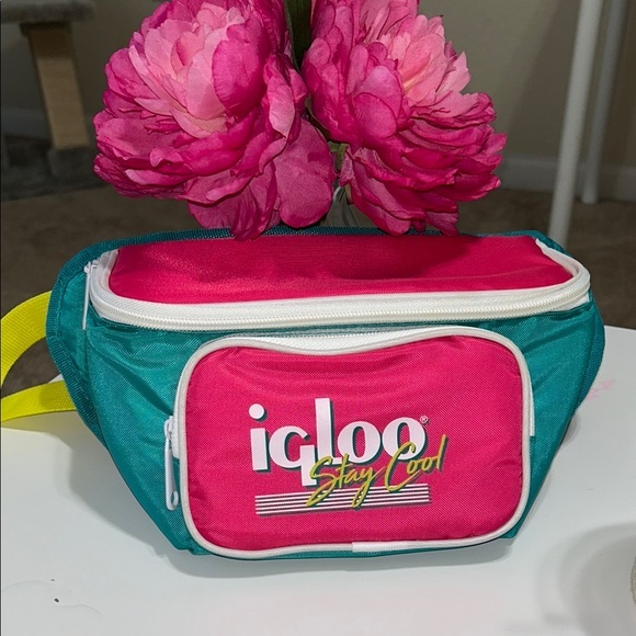 Igloo Pink and Teal Waist Bag - Picture 1 of 2